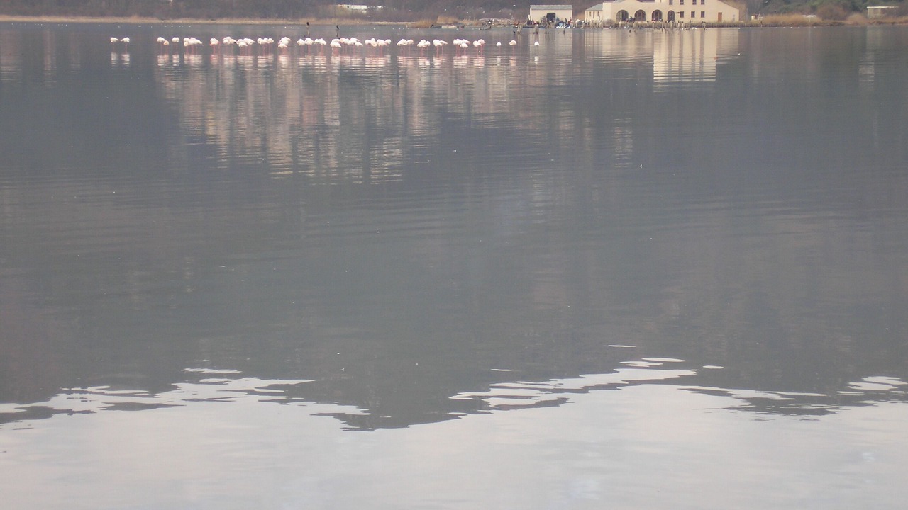 Photo of Outdoor in Pineto