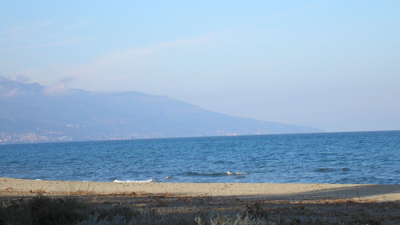 Photo of Others in Pineto