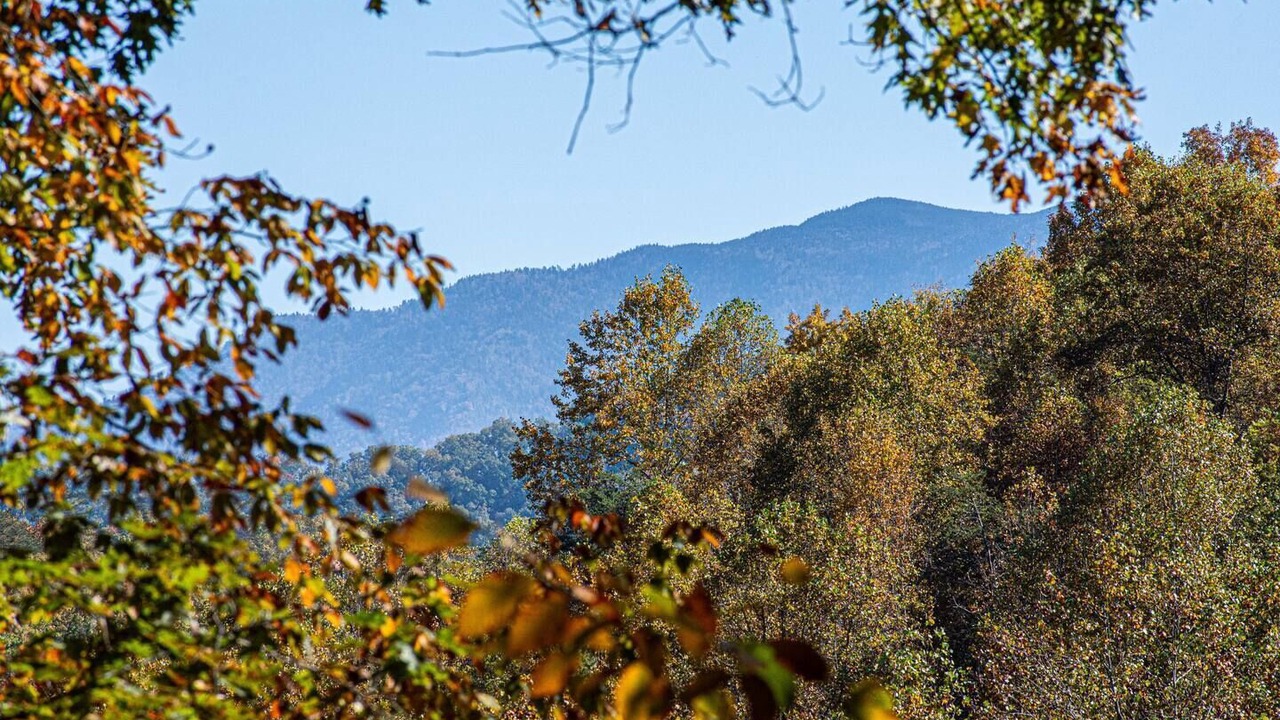 Photo of Others in Pigeon Forge