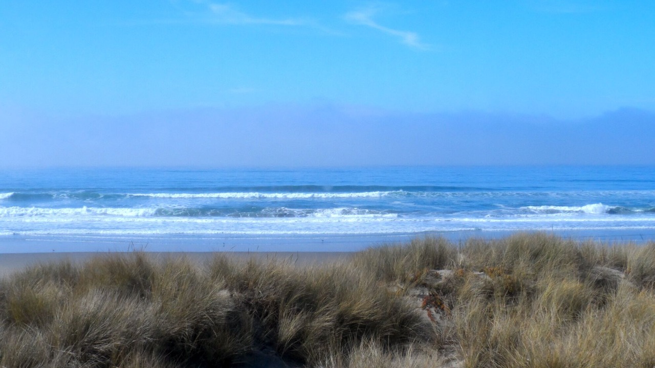 Photo of Others in Pajaro Dunes