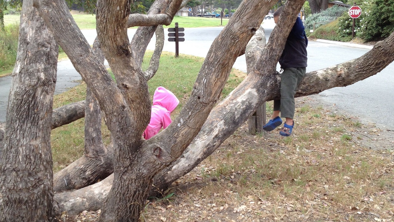 Photo of Others in Pajaro Dunes