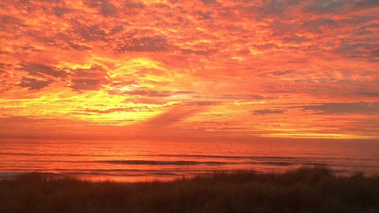 Photo of Others in Pajaro Dunes
