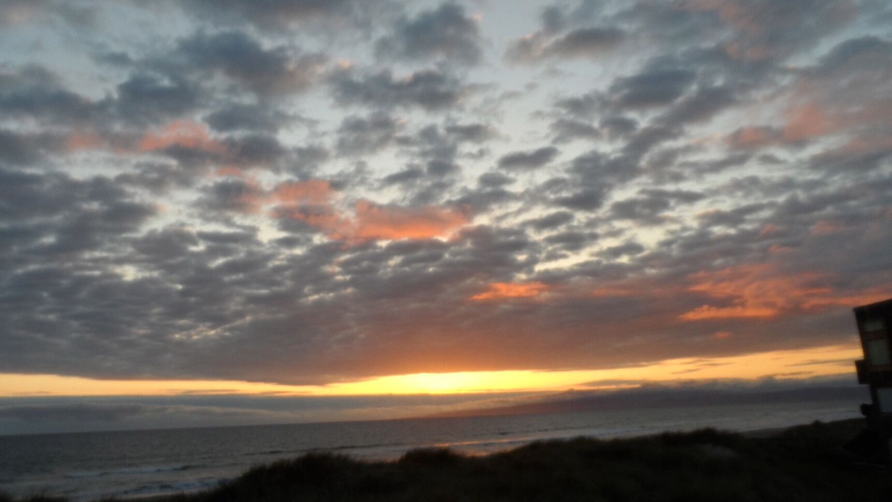 Photo of Others in Pajaro Dunes