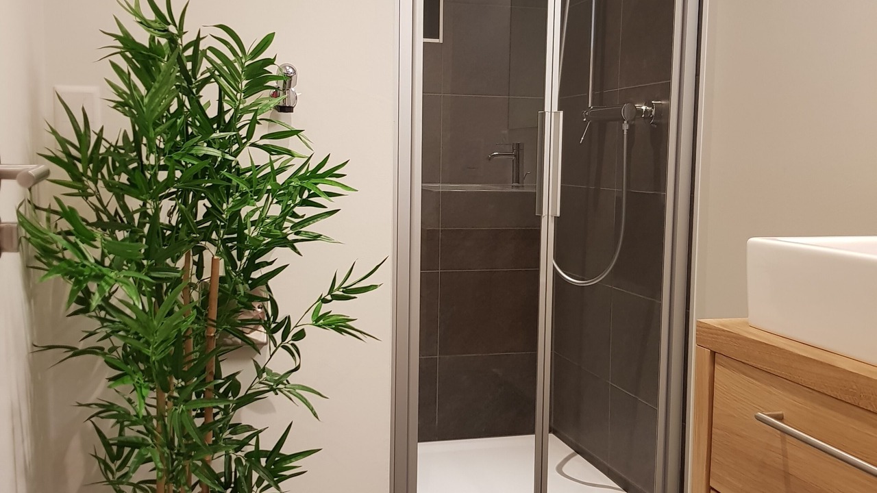 Photo of Bathroom in Grengiols