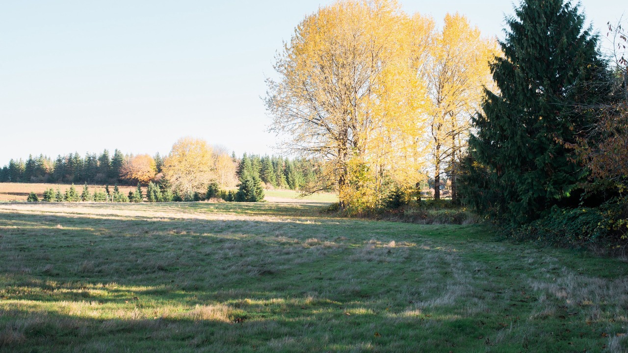 Photo of Others in Molalla