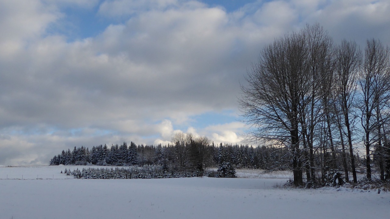 Photo of Others in Molalla