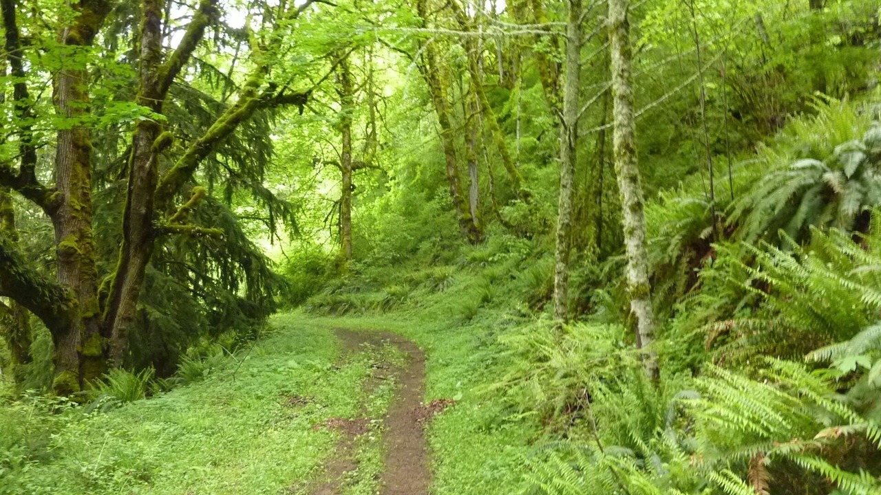 Photo of Others in Molalla
