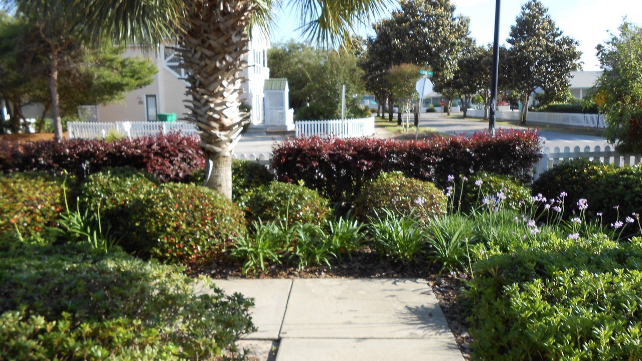Photo of Outdoor in Clipper Cove