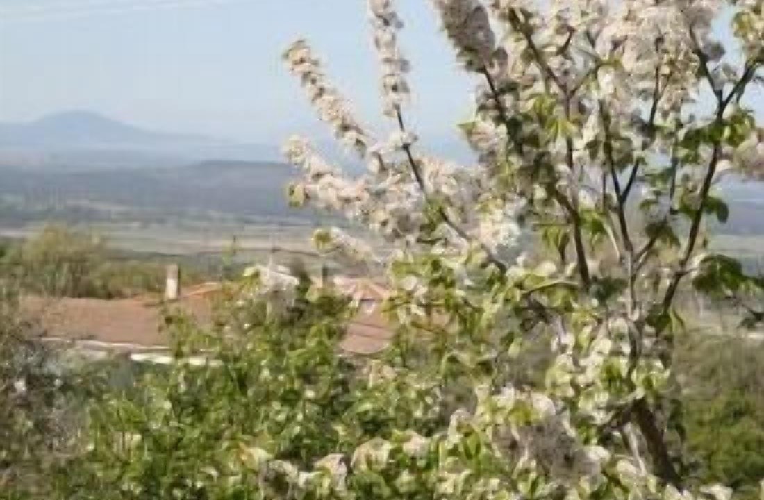 Photo of Outdoor in Casas del Monte