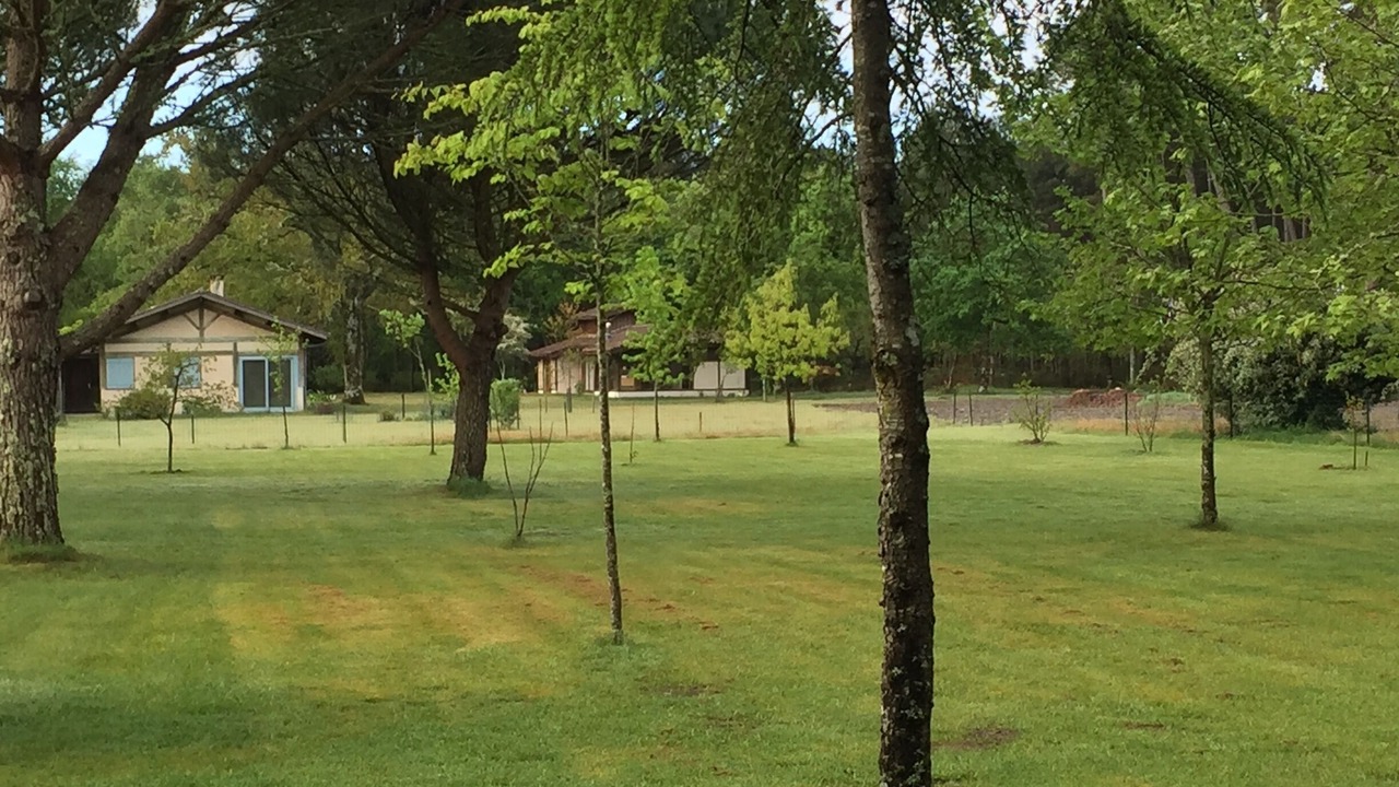 Photo of Outdoor in Castets