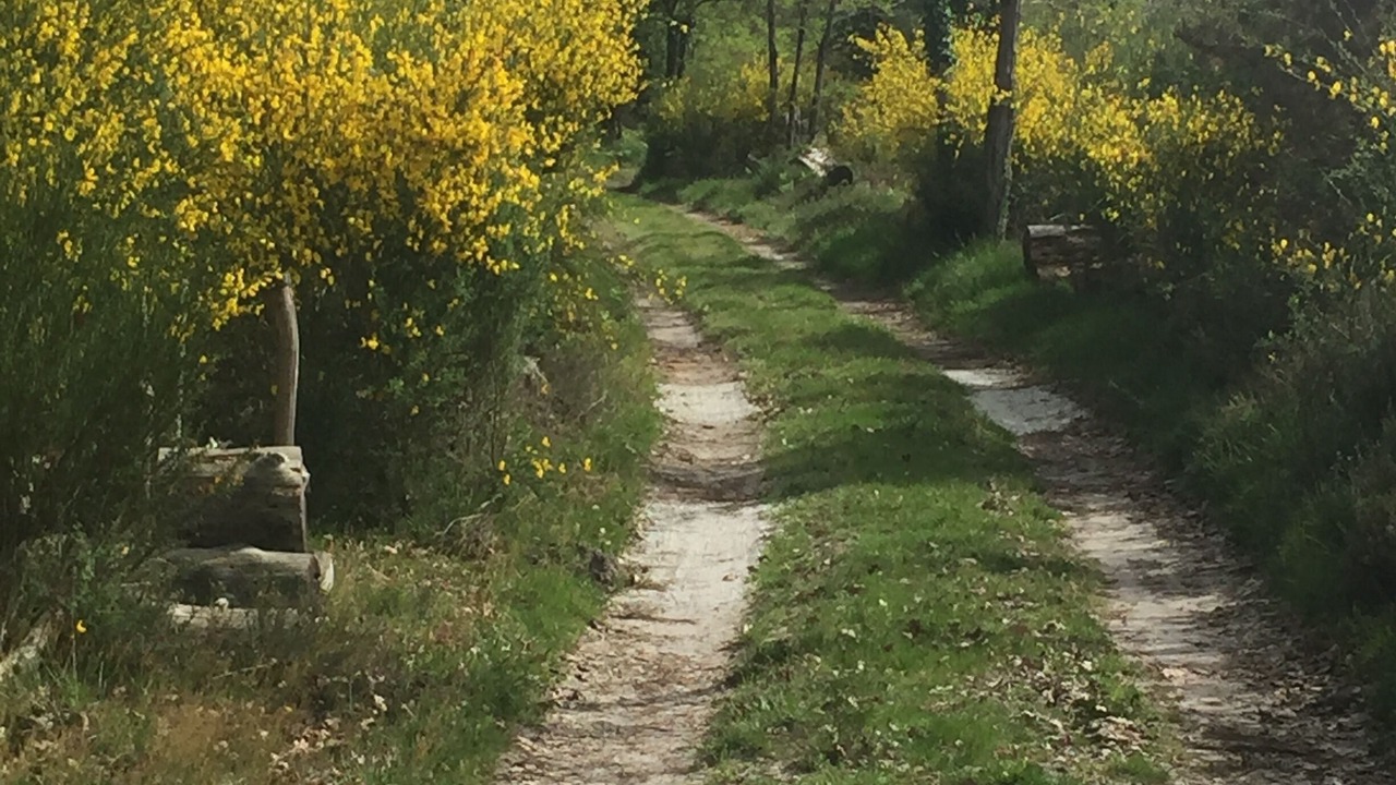 Photo of Outdoor in Castets