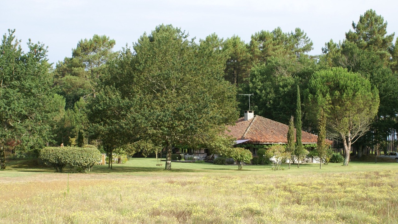 Photo of Outdoor in Castets