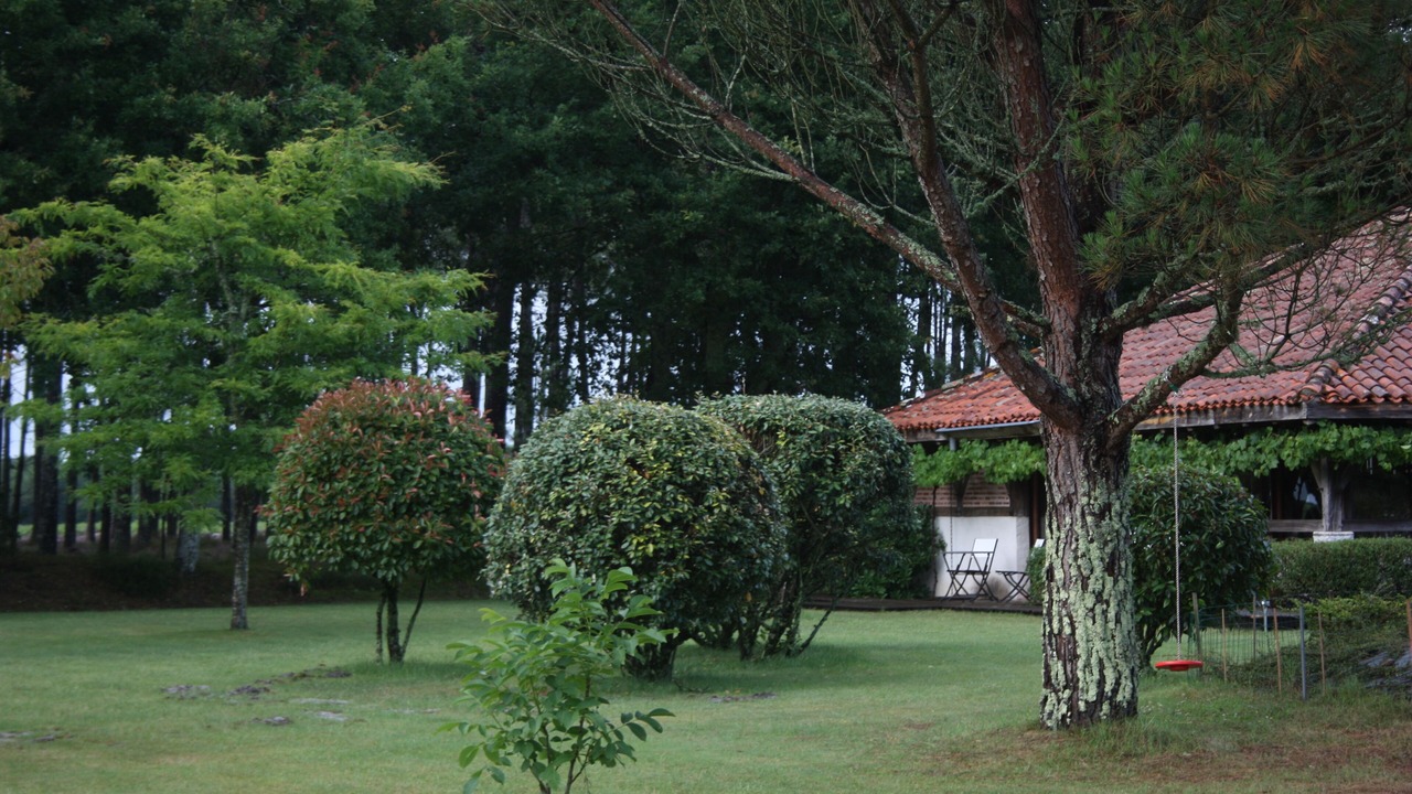 Photo of Outdoor in Castets