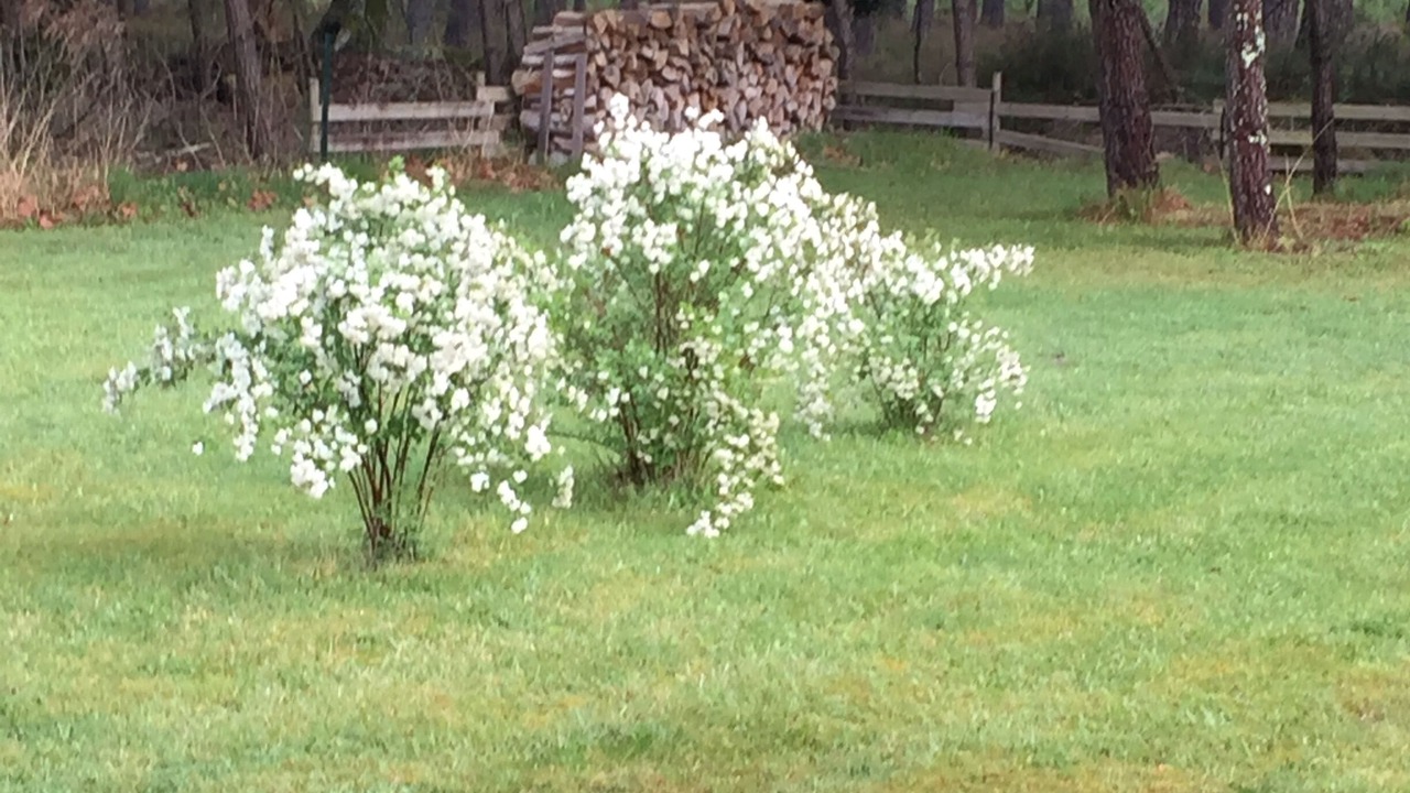 Photo of Outdoor in Castets