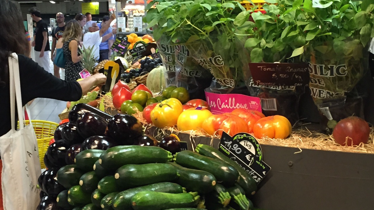 Photo of Others in Avignon City Centre