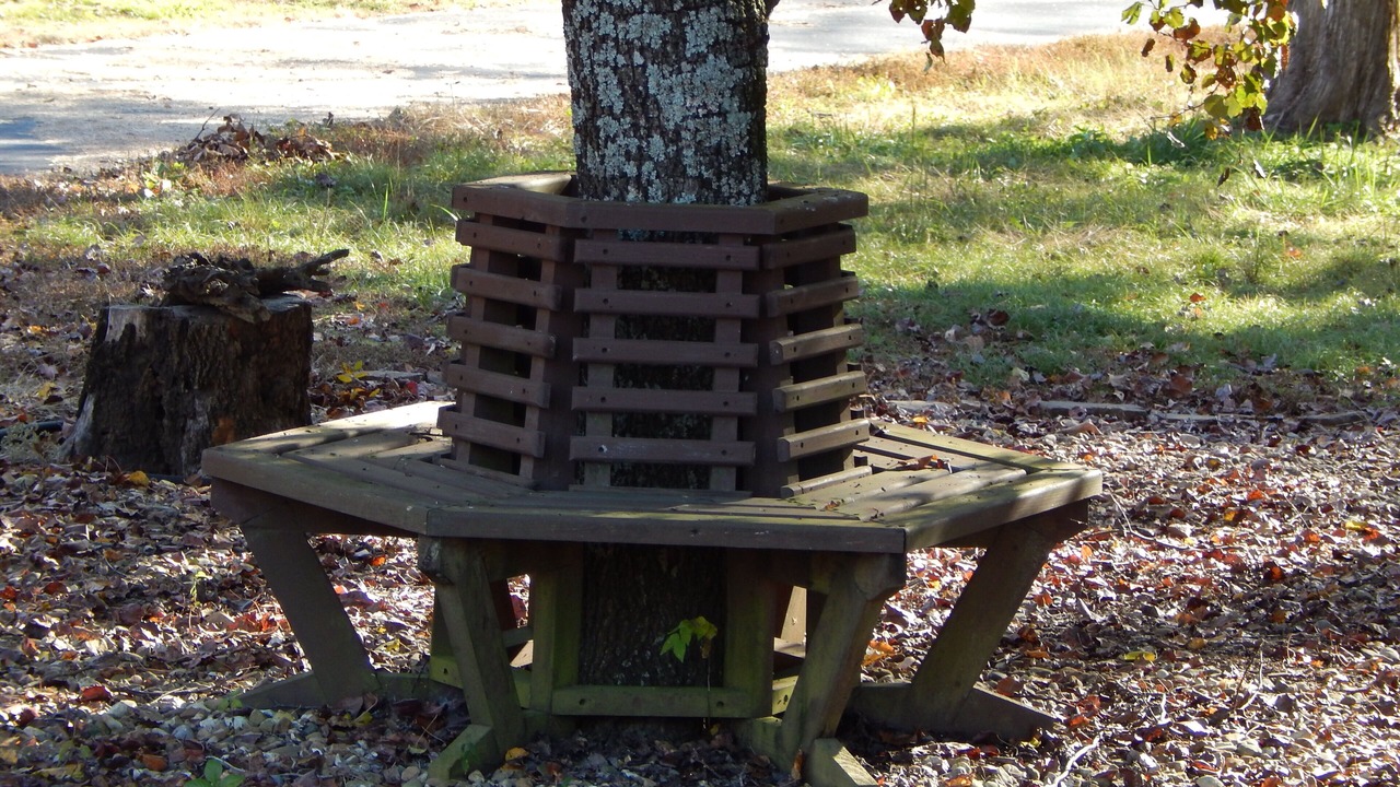 Photo of Outdoor in Russellville