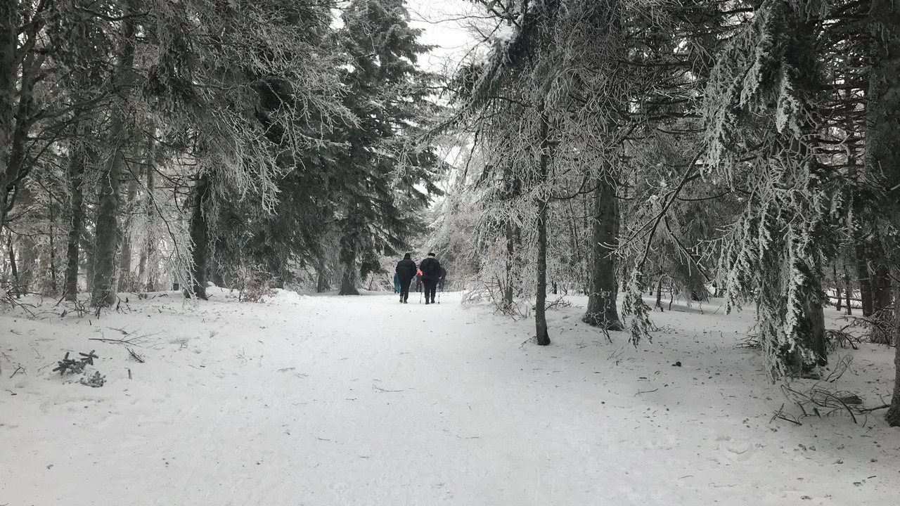 Photo of Others in Saint-Bauzille-de-Putois