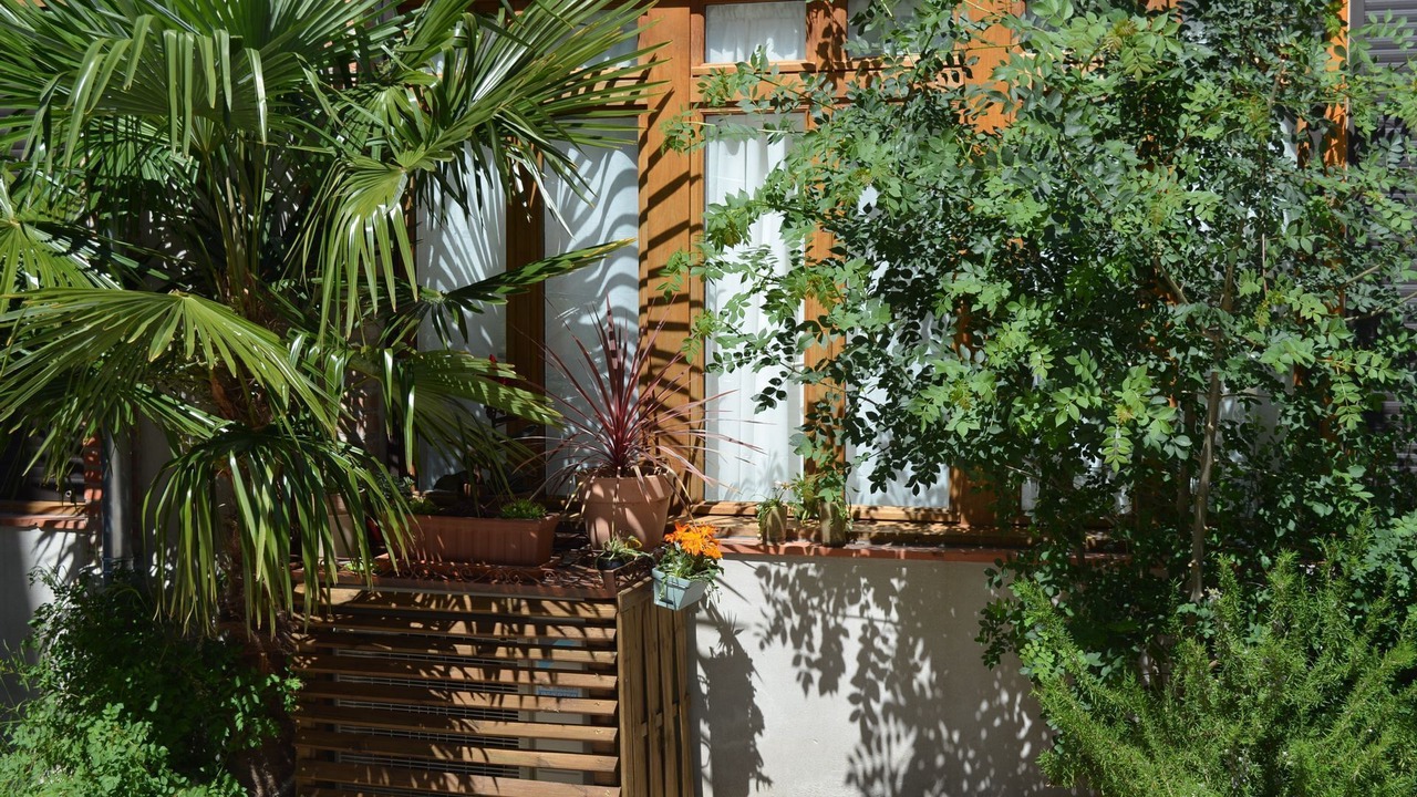 Photo of Outdoor in Saint-Bauzille-de-Putois