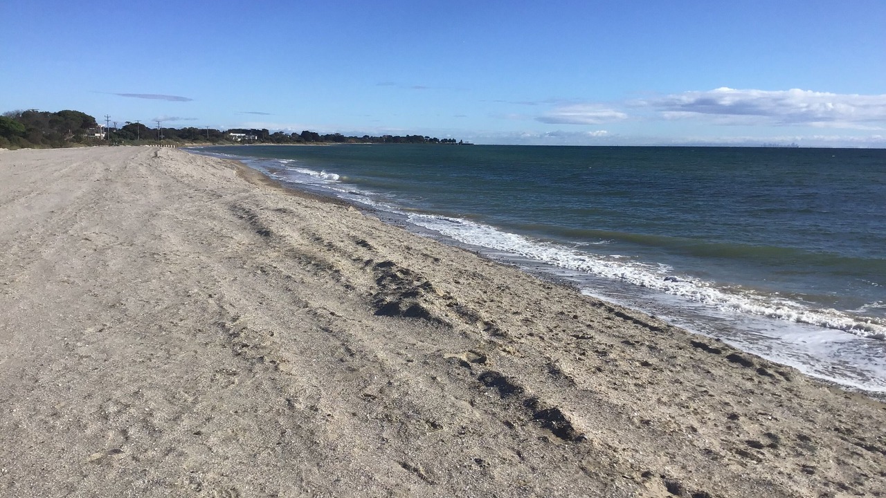 Photo of Others in St Leonards