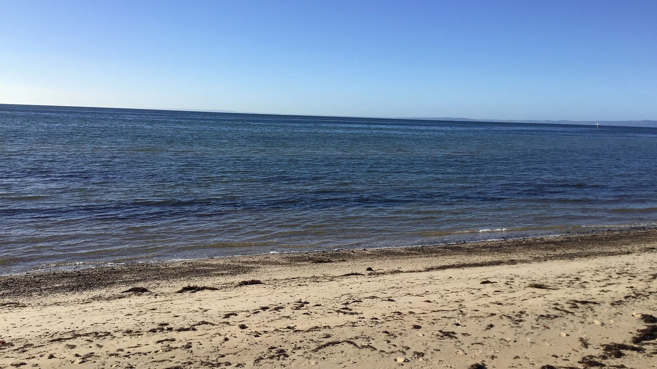 Photo of Others in St Leonards