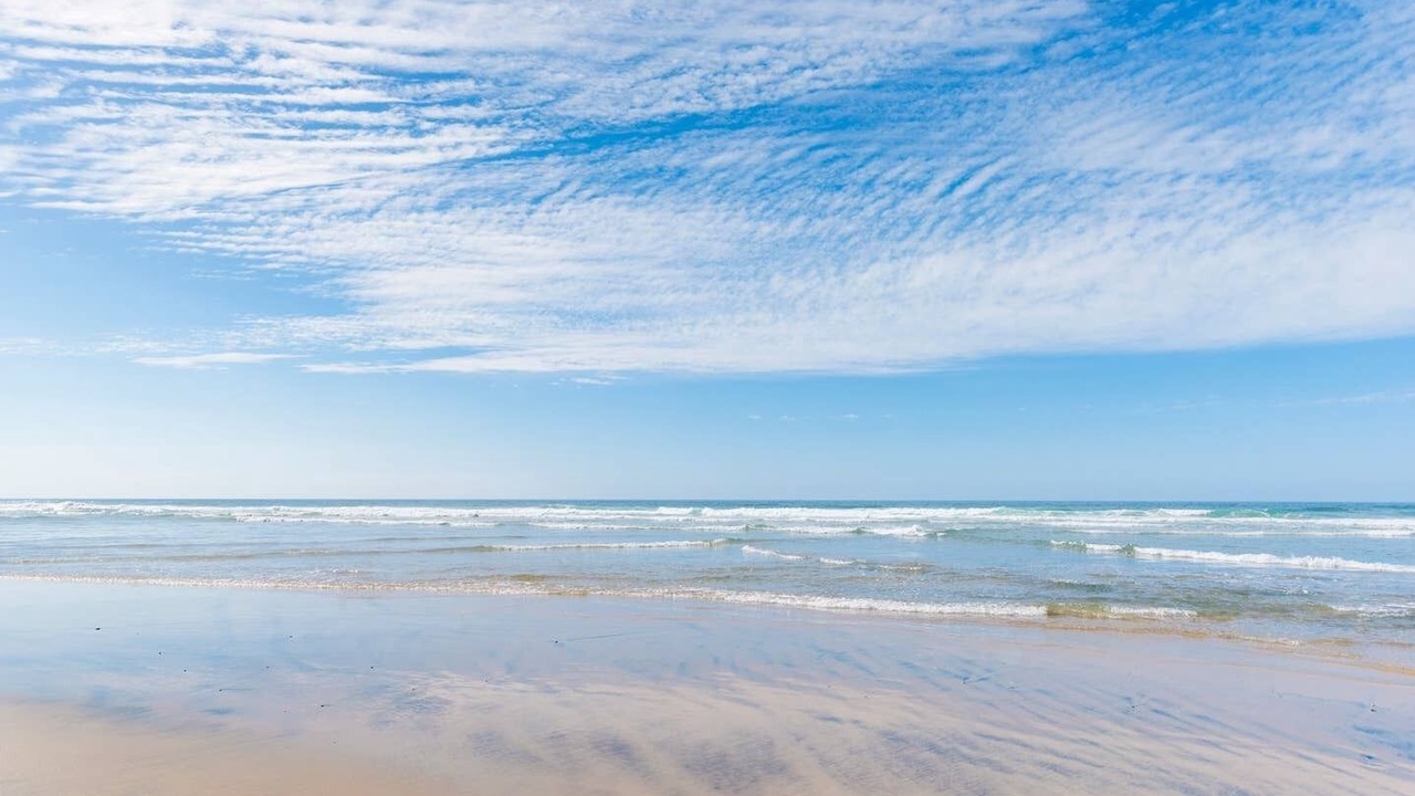 Photo of Others in La Paloma