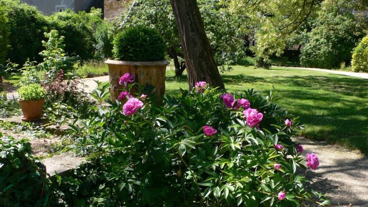 Photo of Outdoor in Chaignay