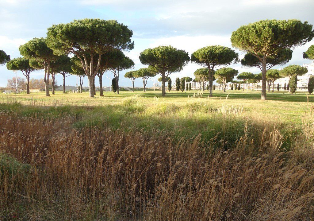 Photo of Outdoor in Le Grau-Du-Roi
