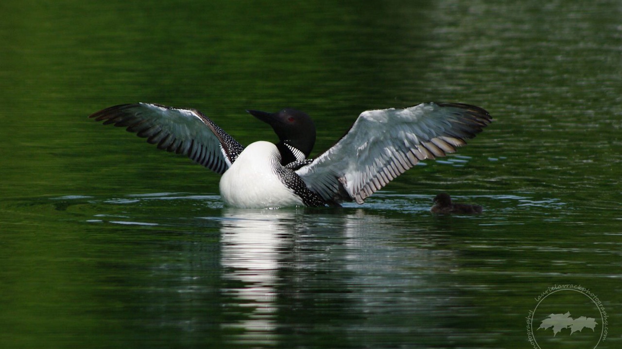 Photo of Outdoor in Lake Ann