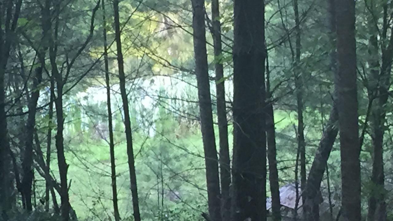 Photo of Outdoor in Grassy Creek