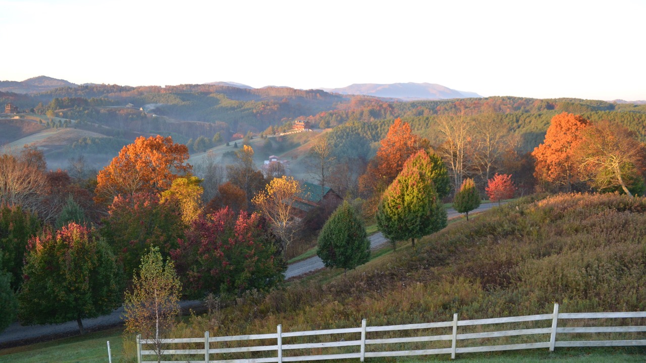 Photo of Others in Grassy Creek