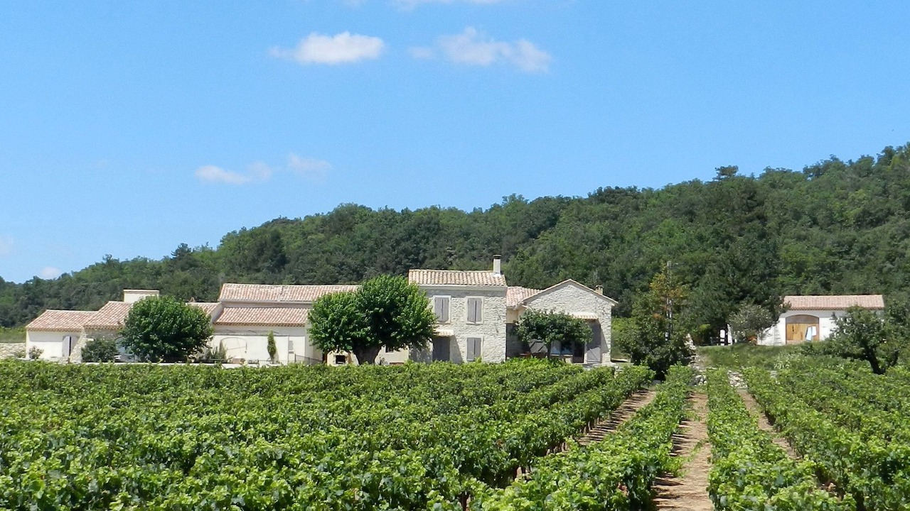 Photo of Outdoor in Cavillargues