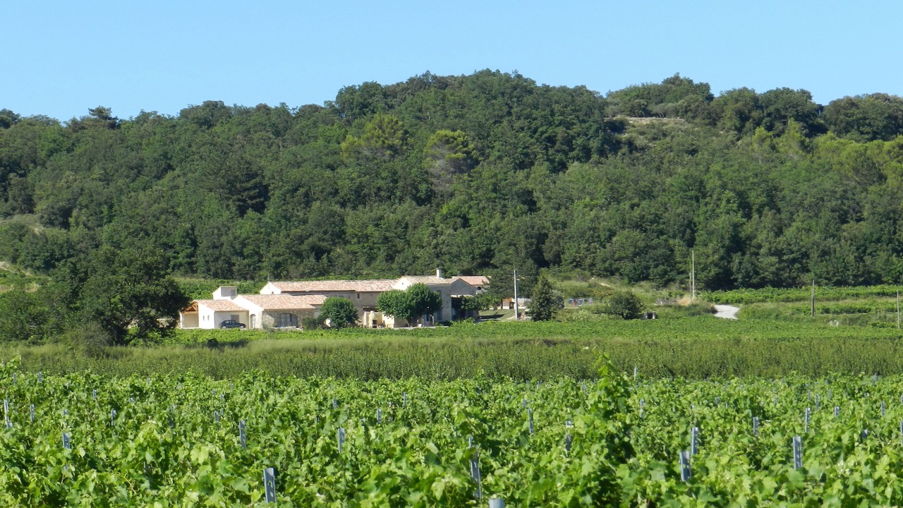 Photo of Outdoor in Cavillargues