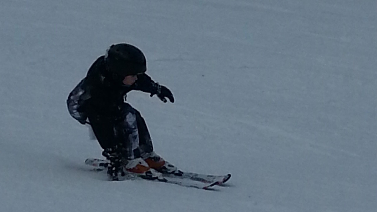 Photo of Others in Hunter