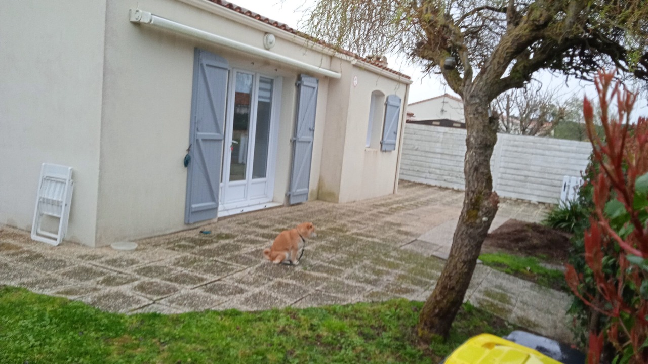 Photo of Outdoor in Saint-Vincent-sur-Jard