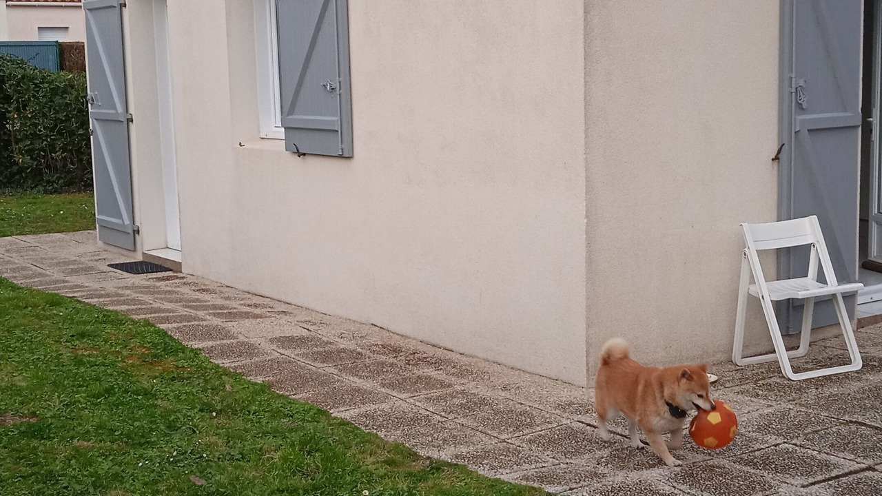 Photo of Outdoor in Saint-Vincent-sur-Jard