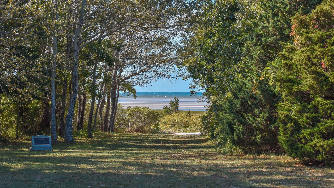 Photo of Others in Orleans