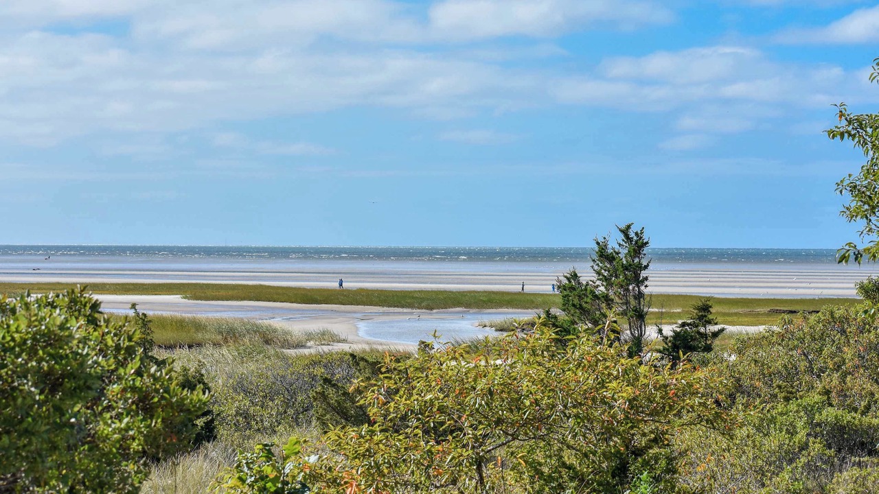 Photo of Others in Orleans