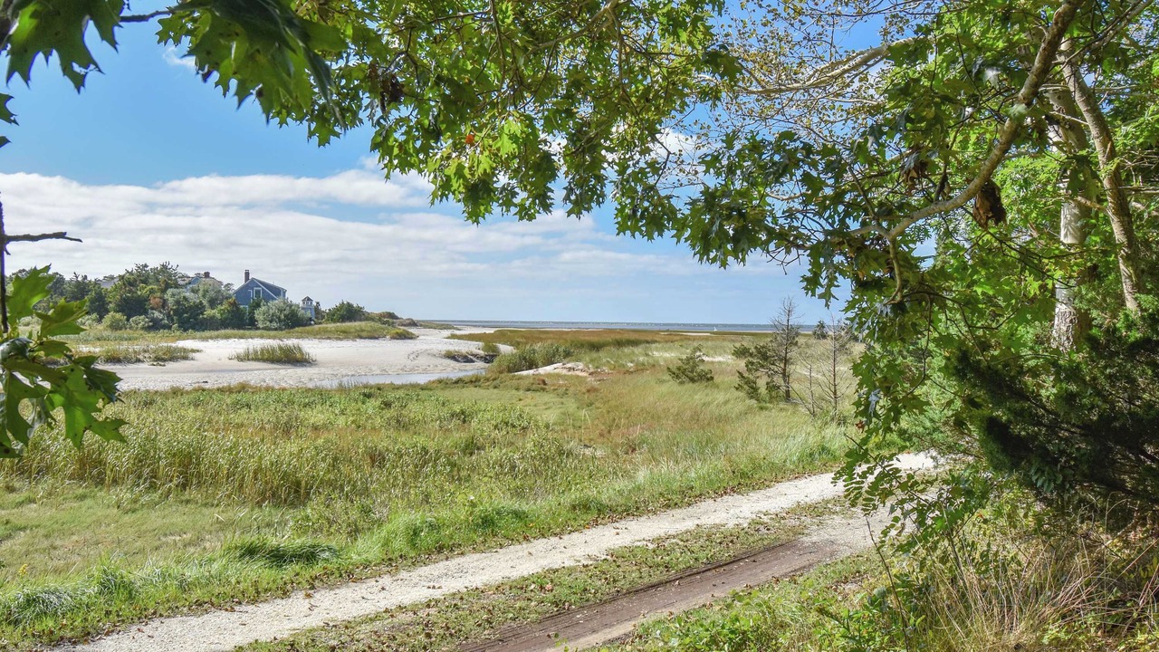 Photo of Others in Orleans