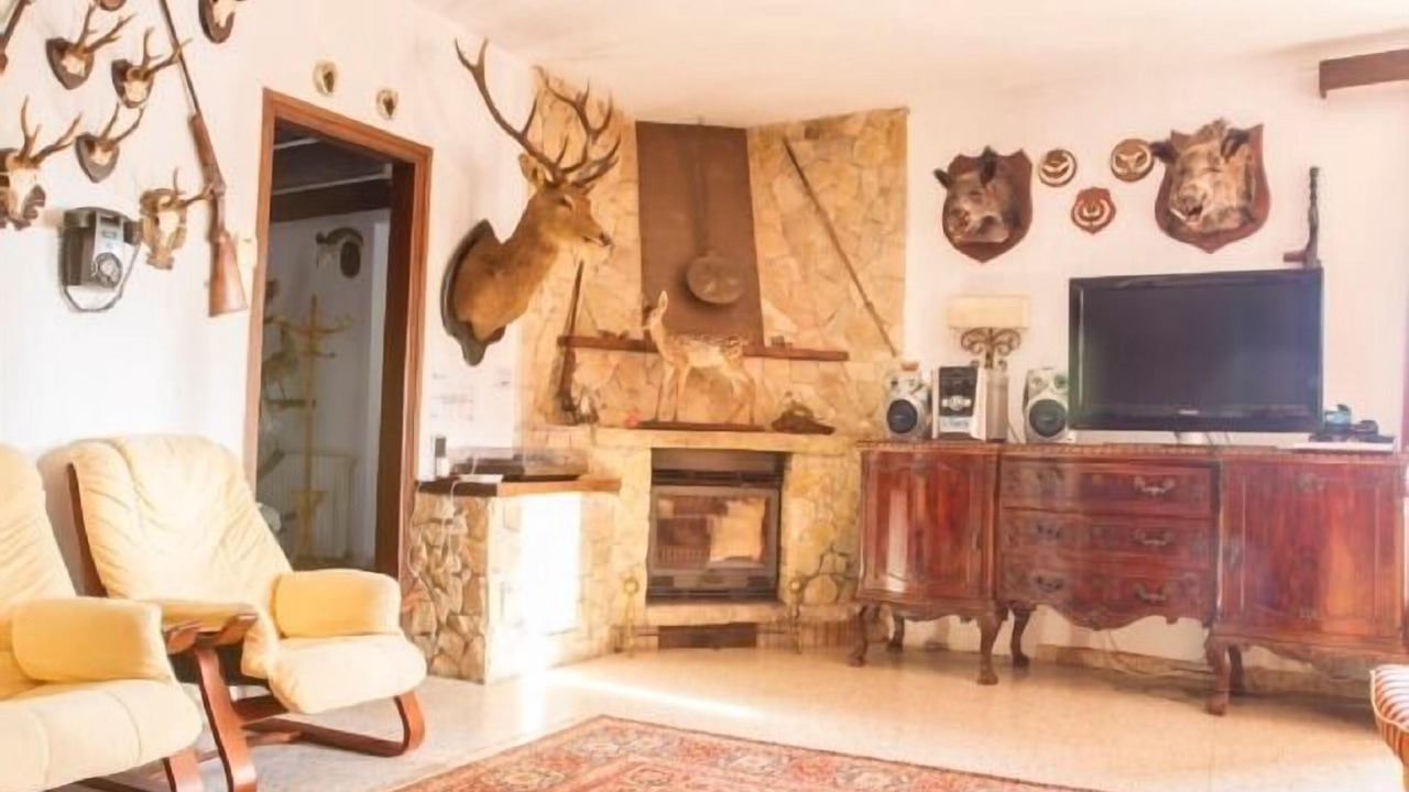 Photo of Livingroom in Vidreres