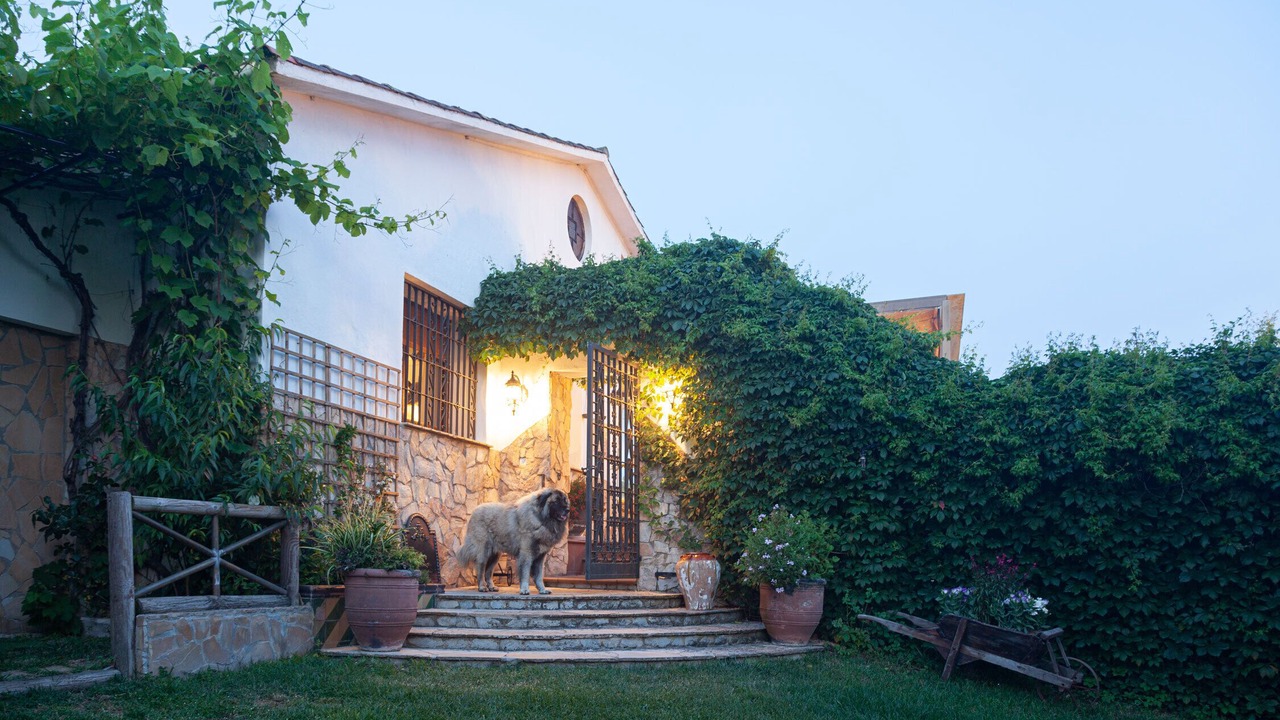 Photo of Outdoor in Vidreres