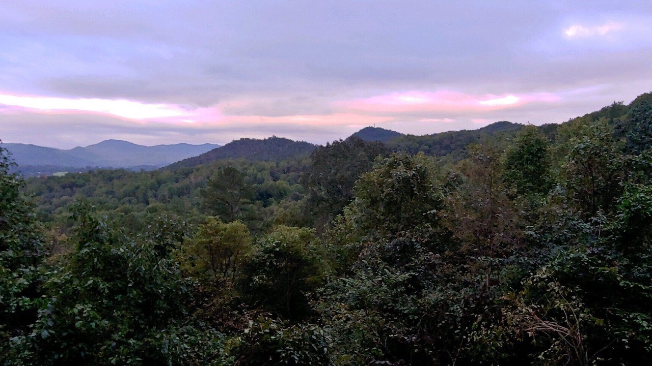 Photo of Others in Townsend