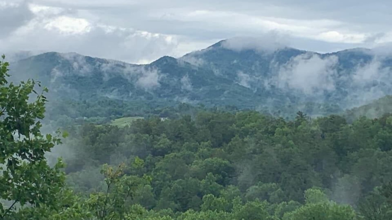 Photo of Others in Townsend