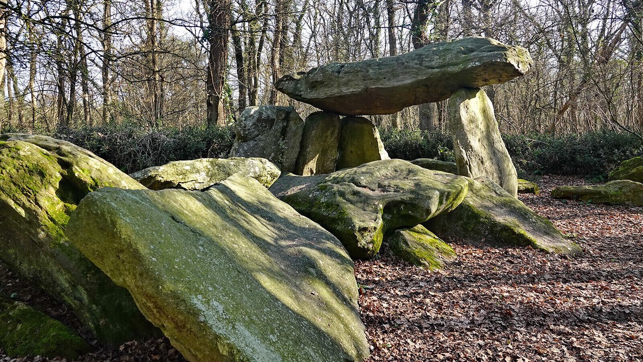 Photo of Others in Commequiers