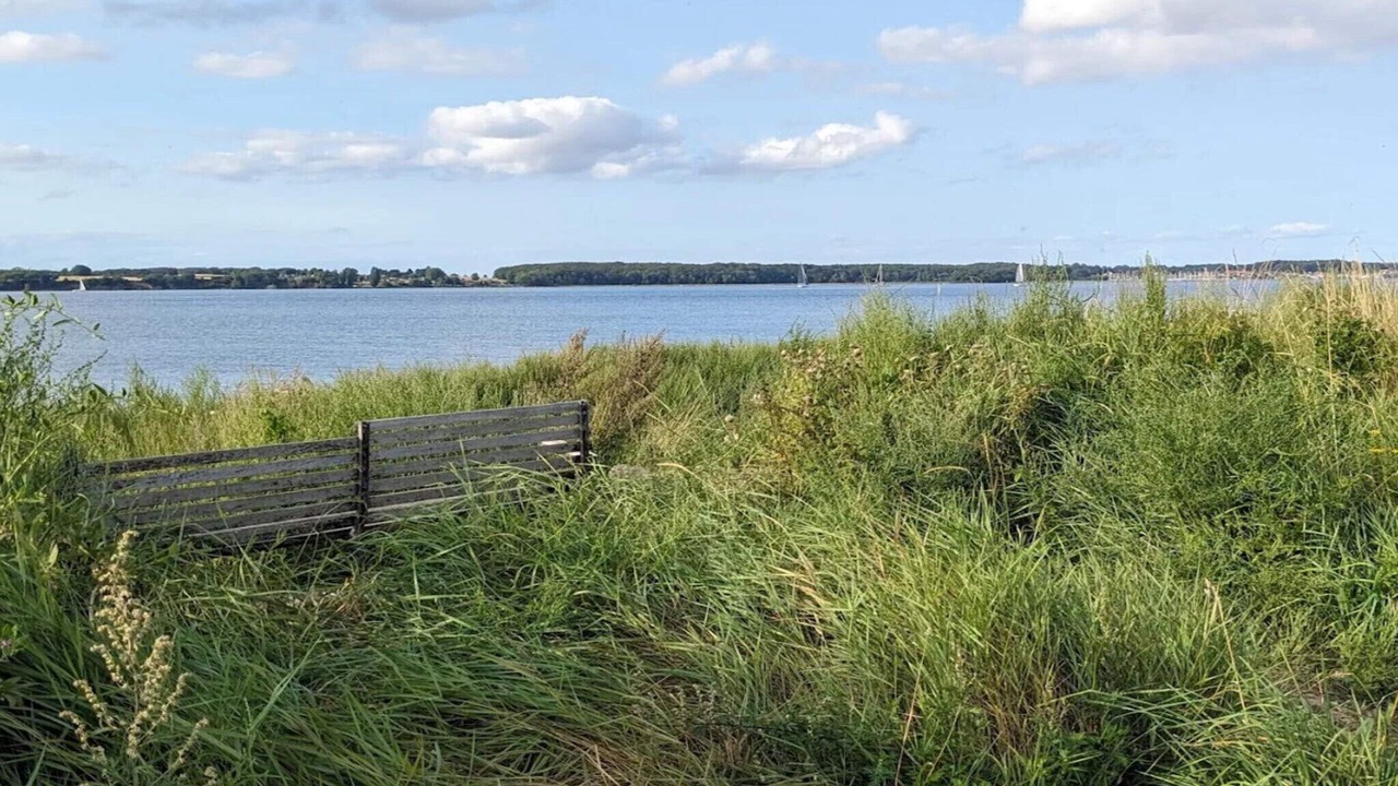 Photo of Others in Høruphav