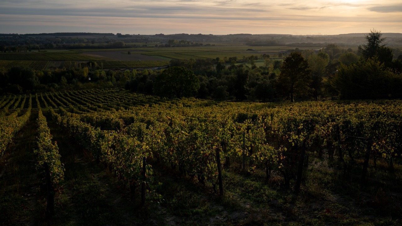 Photo of Outdoor in Avon-les-Roches