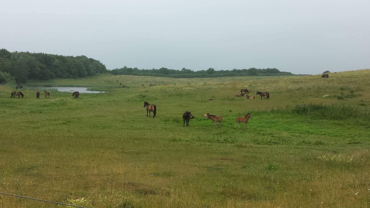Photo of Others in Bagenkop