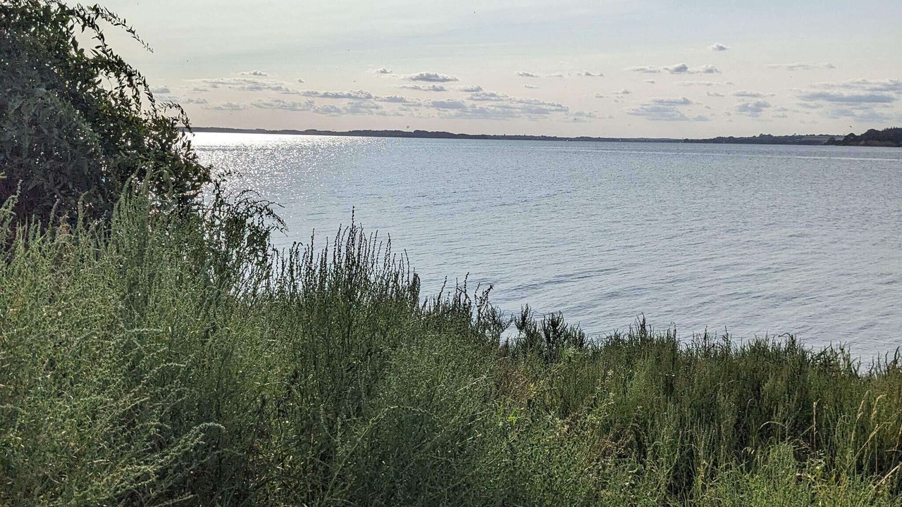 Photo of Others in Høruphav