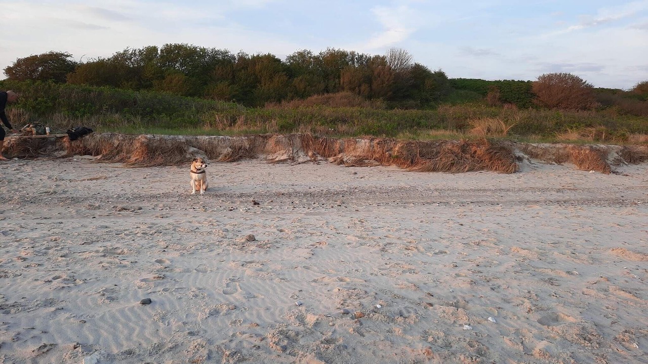 Photo of Others in Høruphav