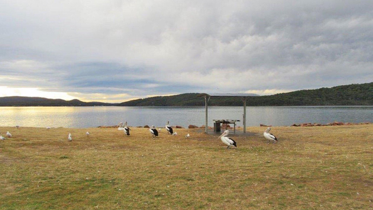 Photo of Others in Soldiers Point