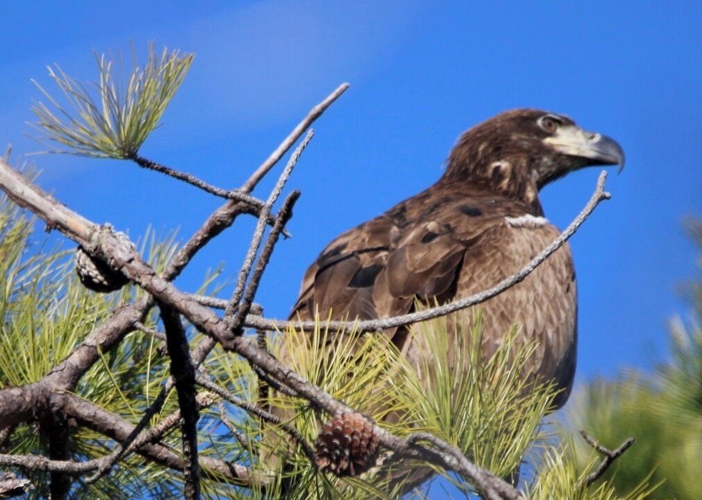Photo of Others in Galloway